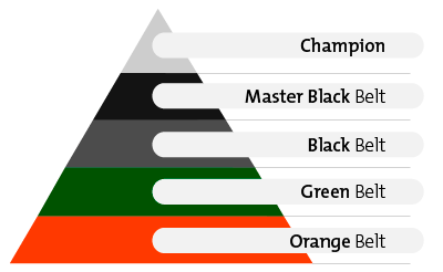 Lean Six Sigma belt structuur